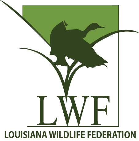 lwf logo color name